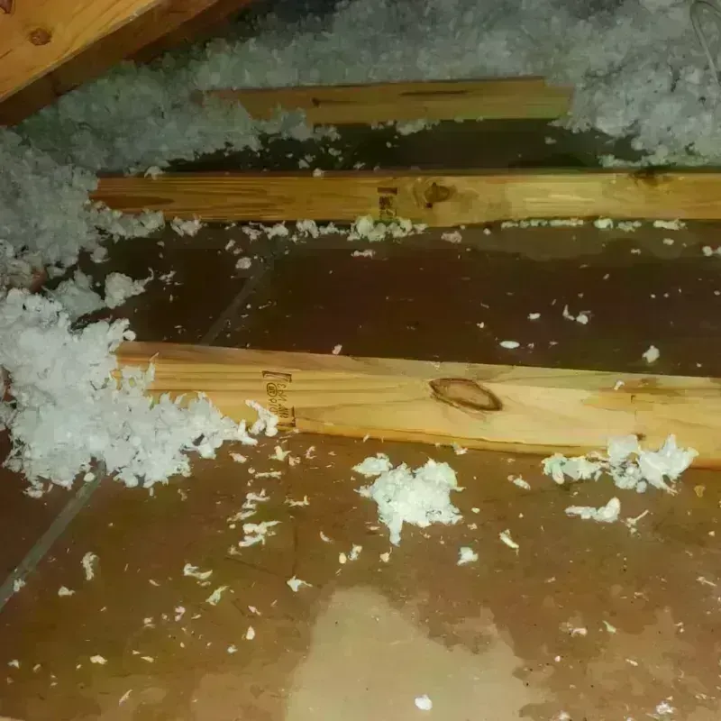 Attic Water Damage in Belle Fourche, SD