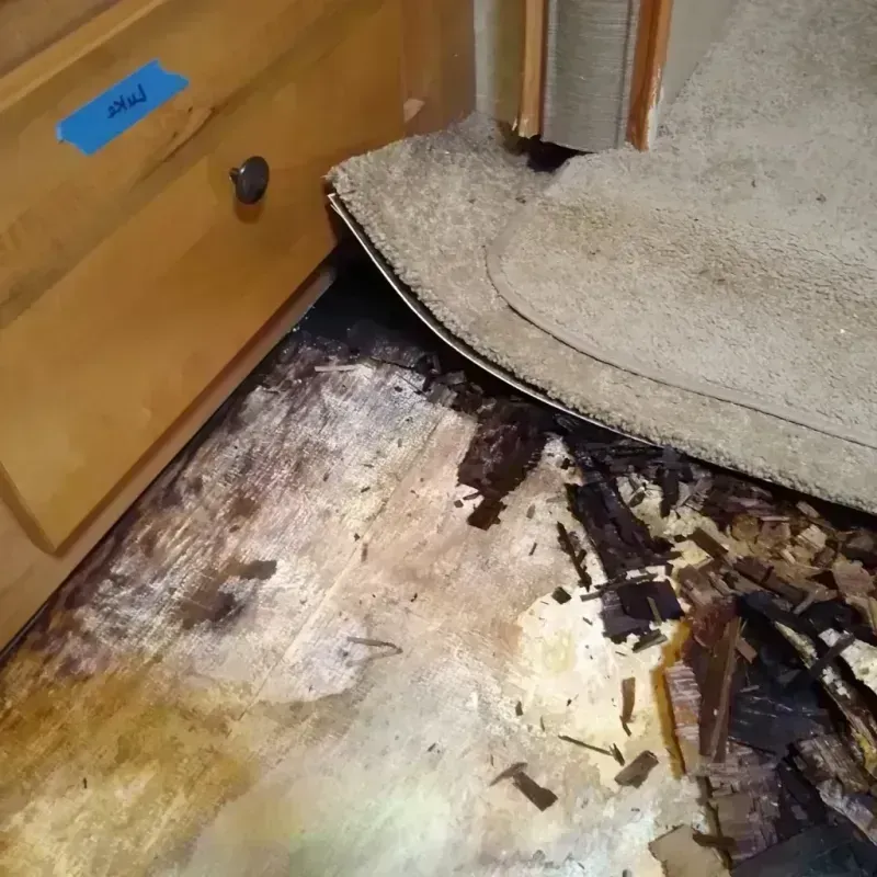 Best Wood Floor Water Damage Service in Belle Fourche, SD